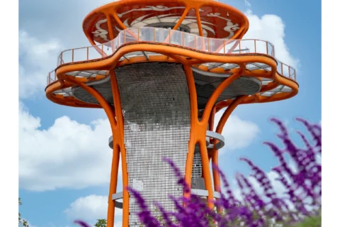 观景台公园风景赏析